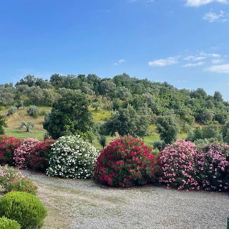 Tenuta Montemassi Podere Montauzzo Экстерьер фото