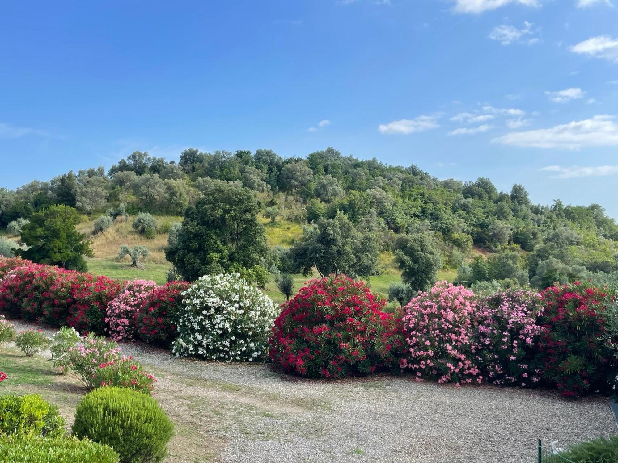 Tenuta Montemassi Podere Montauzzo Экстерьер фото